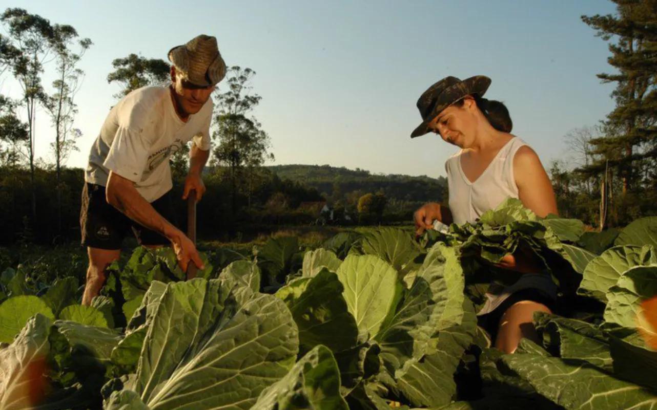 25 de maio, Dia da Trabalhadora e do Trabalhador Rural 25 de maio, Dia da Trabalhadora e do Trabalhador Rural