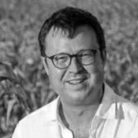 Luís Barbieri avatar