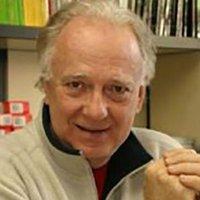 Luis Pellegrini avatar