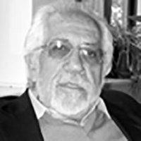 Luiz Alberto Gómez de Souza avatar