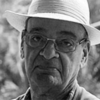 Luiz Werneck Vianna avatar