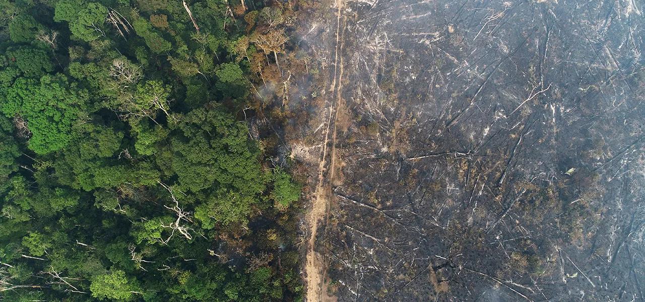 Vista aérea da Amazônia após queimadas perto de Apuí, no Amazonas Vista aérea da Amazônia após queimadas perto de Apuí, no Amazonas