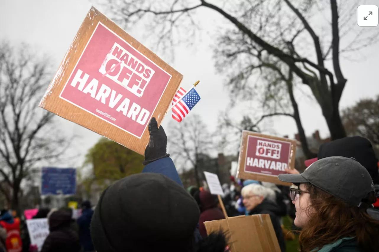 Manifestantes se opõem a medidas de Trump contra a Universidade de Harvard Manifestantes se opõem a medidas de Trump contra a Universidade de Harvard