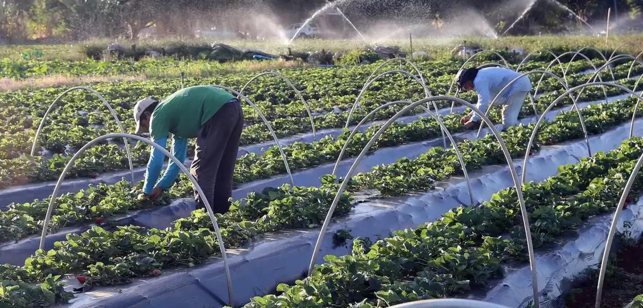 Governo amplia oportunidades no campo, na saúde e na educação Governo amplia oportunidades no campo, na saúde e na educação