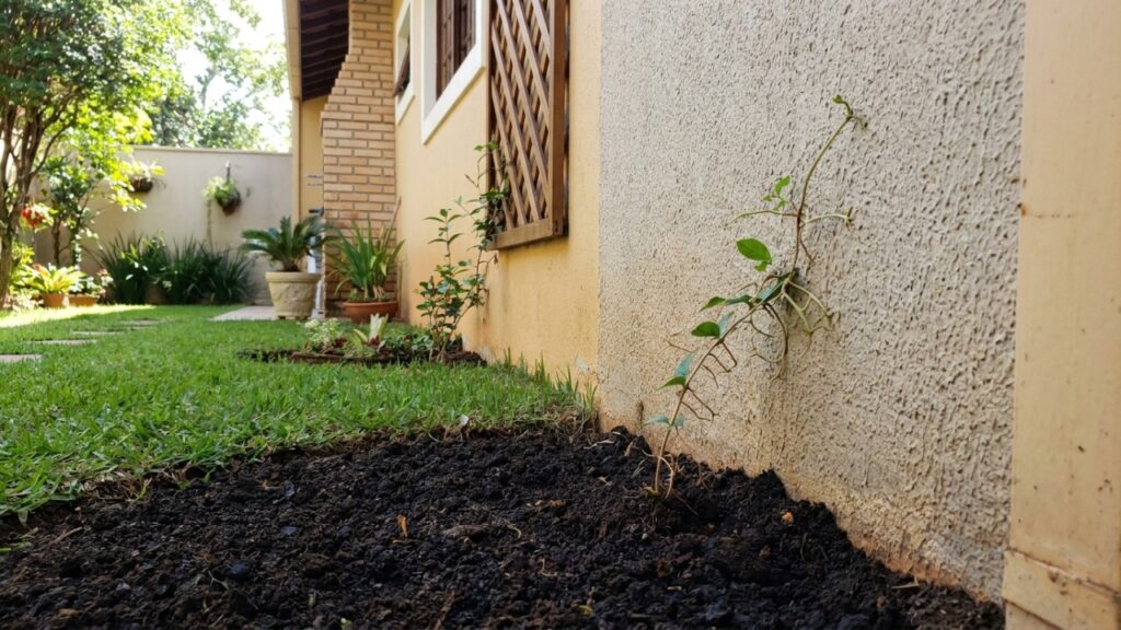 O revestimento vertical com folhagens atua como isolante térmico e valoriza a fachada residencial de forma sustentável.