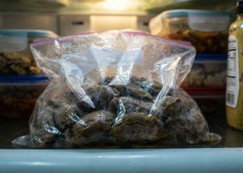 Não está gelado o bastante e sim guardado errado: a carne crua num saco plástico pode transformar sua geladeira no local onde o frescor começa a acabar