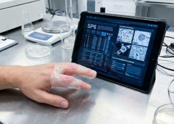 Novo estudo mostra um caminho genético promissor para que os humanos possam recuperar membros perdidos: