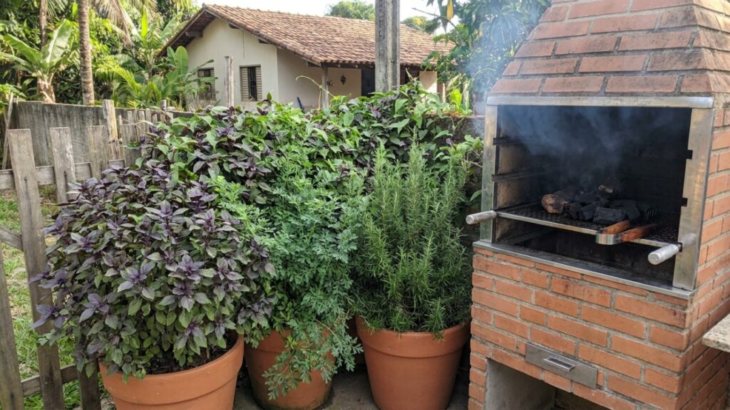 A distribuição correta dos recipientes perto das mesas e da churrasqueira potencializa o efeito repelente e mantém o ambiente limpo.