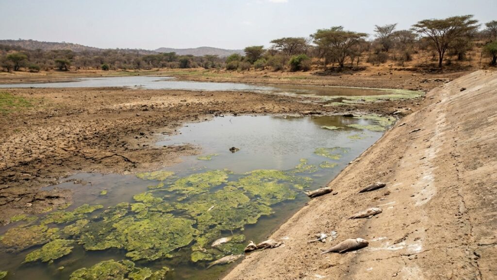 A mudança climática está silenciosamente sufocando rios em todo o planeta