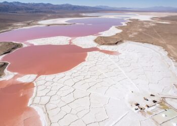 NASA detecta "coração rosa" na Argentina a partir da ISS e, por trás da imagem, há um negócio de 300 mil toneladas de sal por ano