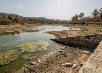 A mudança climática está silenciosamente sufocando rios em todo o planeta