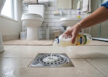 A mistura de detergente neutro e sal aplicada nos ralos elimina o habitat ideal para a reprodução de insetos e larvas.