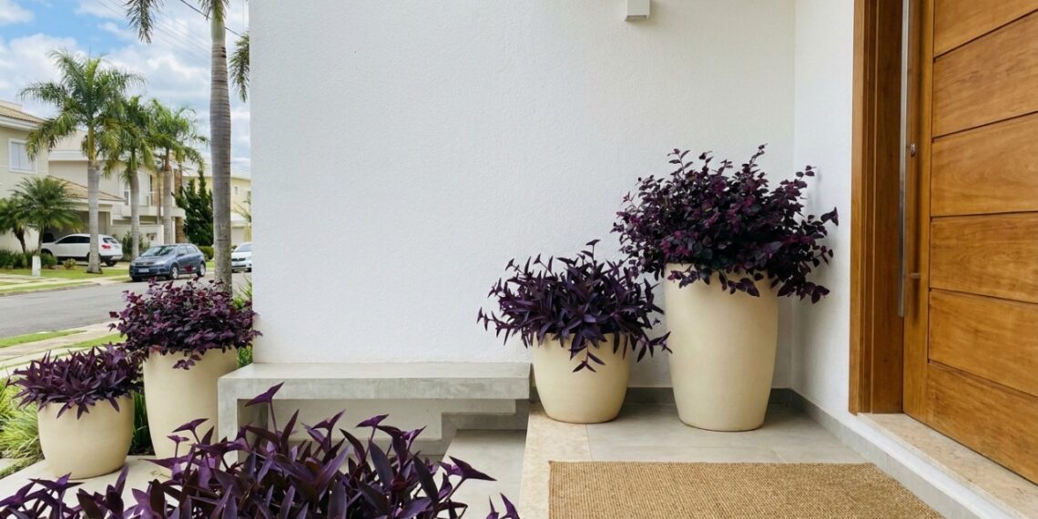 A integração de folhagens escuras na ambientação traz elegância imediata e quebra a monotonia cromática do jardim.