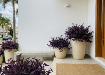 A integração de folhagens escuras na ambientação traz elegância imediata e quebra a monotonia cromática do jardim.