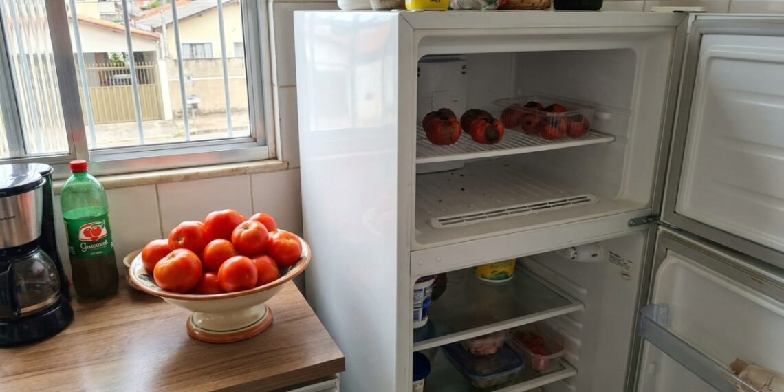 O armazenamento correto do tomate em local arejado preserva os açúcares naturais e garante uma polpa extremamente suculenta.