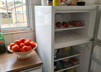 O armazenamento correto do tomate em local arejado preserva os açúcares naturais e garante uma polpa extremamente suculenta.