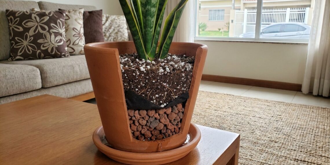 O solo aerado e a drenagem correta na base do vaso evitam o acúmulo de água que prejudica as raízes das plantas ornamentais.