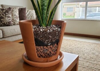 O solo aerado e a drenagem correta na base do vaso evitam o acúmulo de água que prejudica as raízes das plantas ornamentais.