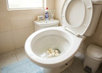 O uso do alho na água potencializa a liberação de alicina para purificar e proteger a louça sanitária de forma contínua durante a noite.
