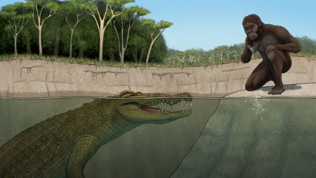 Cientistas descobrem crocodilo gigante aterrorizante que caçava ancestrais humanos