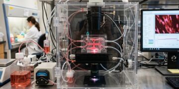 A Austrália faz 200.000 neurônios humanos vivos jogarem Doom dentro de um chip de silício