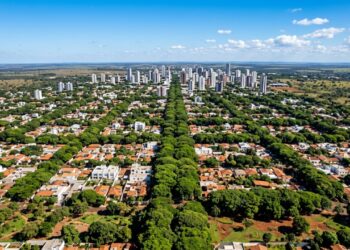 91,4% das ruas com árvores e hexacampeã mundial: a cidade que lidera a arborização entre as capitais brasileiras