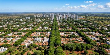 91,4% das ruas com árvores e hexacampeã mundial: a cidade que lidera a arborização entre as capitais brasileiras