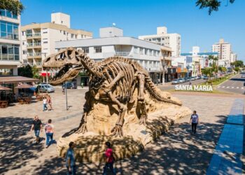 A primeira universidade federal fora de uma capital do Brasil fica no coração do Rio Grande do Sul e guarda fósseis de 230 milhões de anos