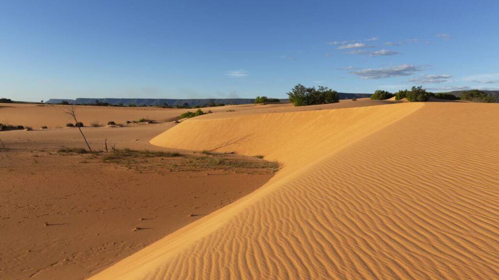 O deserto de águas no coração do Cerrado tem dunas de 40 metros e nascentes onde é impossível afundar
