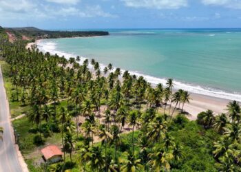 Escondido entre coqueirais no Caribe brasileiro: o vilarejo com mar transparente que fez o país esquecer qualquer outra praia