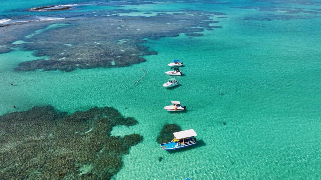 Escondido entre coqueirais no Caribe brasileiro: o vilarejo com mar transparente que fez o país esquecer qualquer outra praia