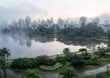 A Pequena Londres do Paraná com 96,8% das ruas arborizadas: a 2ª maior cidade do estado fundada por ingleses e entre as 10 melhores do Brasil em qualidade de vida