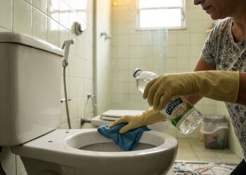 Por que os especialistas recomendam limpar o vaso sanitário com vinagre?