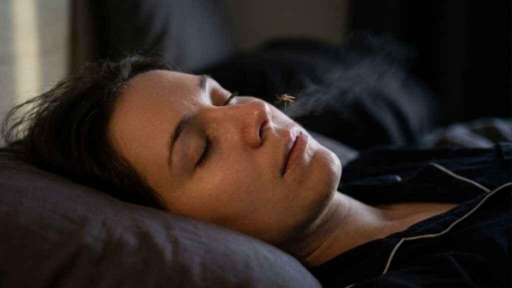 Por que os mosquitos gostam de voar perto dos nossos ouvidos quando dormimos? O zumbido é algo que muitas pessoas consideram irritante