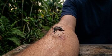 Que tipo de pessoas os mosquitos gostam de picar? Por que algumas pessoas são picadas mais do que outras, mesmo quando estão juntas?