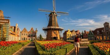 Fundada por 500 famílias holandesas em 1948: a cidade das flores no interior paulista tem moinho de 38 metros e tulipas de origem europeia