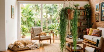 O Cacto-macarrão é a escolha ideal para decorar lares com animais de estimação.