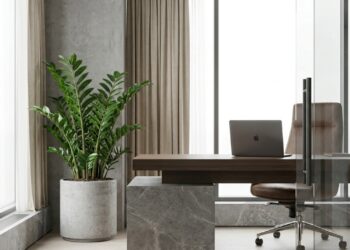 A zamioculca é a solução perfeita para unir elegância e praticidade em ambientes de trabalho.