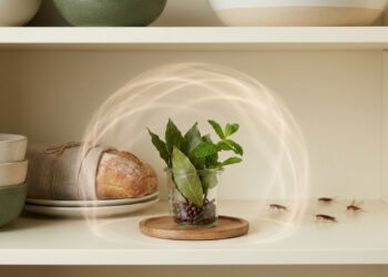 Aromas naturais como louro e cravo criam uma barreira olfativa poderosa para proteger seus armários de cozinha.