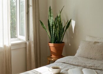 Por que cultivar Dracaena trifasciata no dormitório