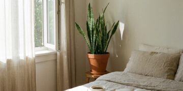 Por que cultivar Dracaena trifasciata no dormitório