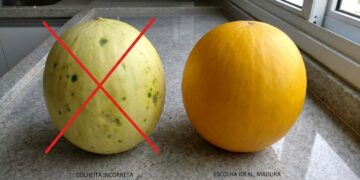 Claro ou escuro? O detalhe simples que ajuda a escolher melhor frutas, queijos e outros alimentos