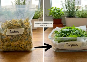 Pare De Guardar As Folhas De Rucula Umidas E Apertadas No Saco Plastico Essa E A Maneira Correta De Preservar A Crocancia E Evitar Que Murchem