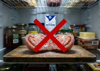 Pare de guardar o tomate maduro na gaveta fria da geladeira: essa é a maneira correta de conservar em temperatura ambiente e refrigerar só depois para preservar o sabor natural