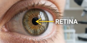 Cientistas descobrem que o olho humano desafia uma antiga regra da visão