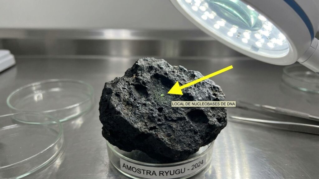 Cientistas encontram em asteroide as 5 letras essenciais do DNA e RNA e descoberta pode mudar a origem da vida