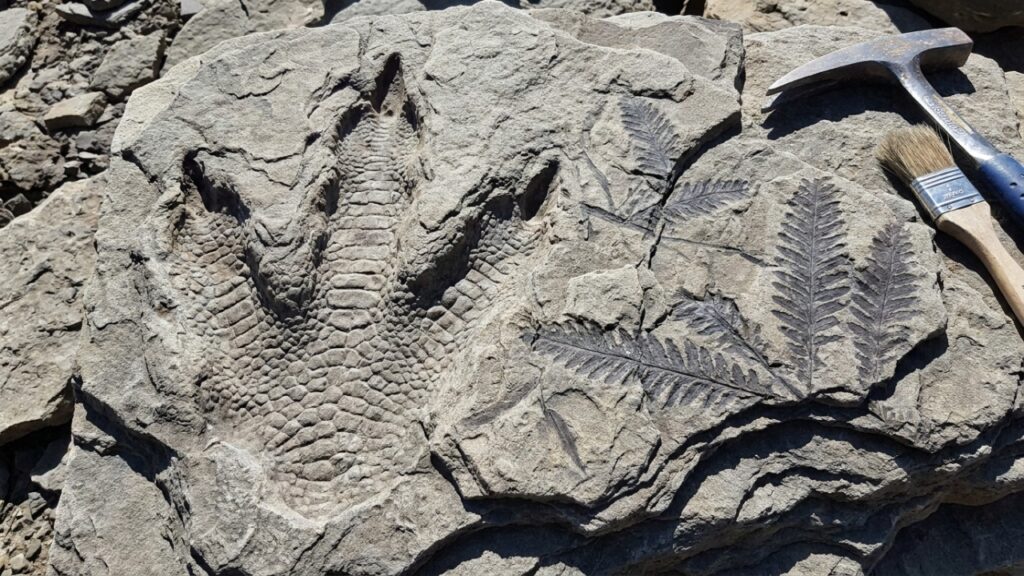 Trilha perdida de 280 milhões de anos é descoberta por alpinista — e história surpreende cientistas