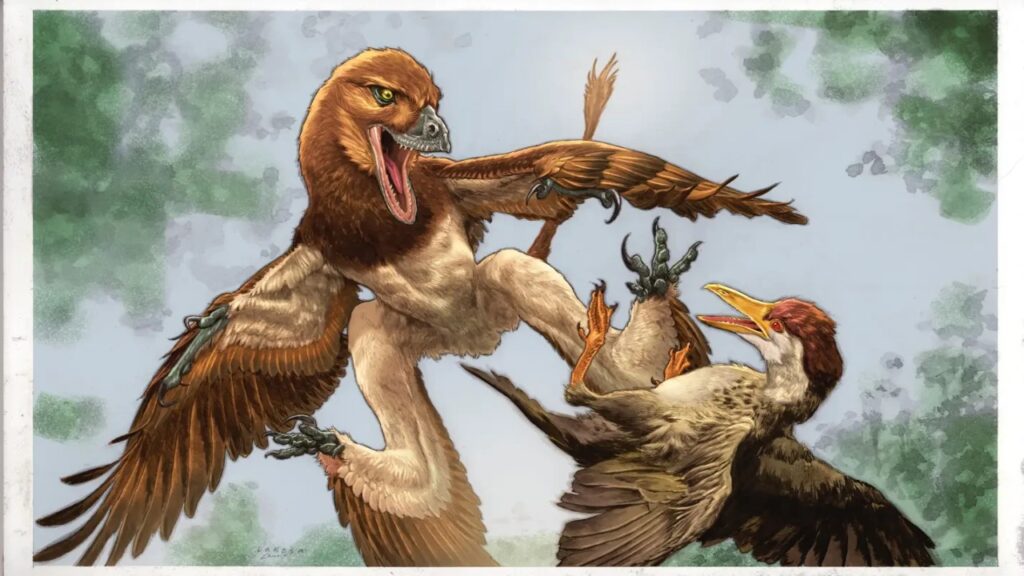 Cientistas encontraram na China o fóssil de um dinossauro semelhante a um pássaro, com 120 milhões de anos