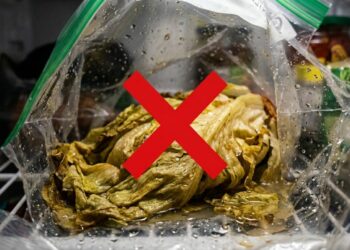 Pare de guardar a alface molhada no saco plástico fechado na geladeira: essa é a maneira correta de secar as folhas e armazenar em pote forrado para preservar a textura crocante