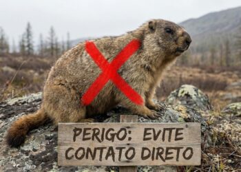 Esta doença mortal estava dizimando humanos há 5 mil e 500 anos
